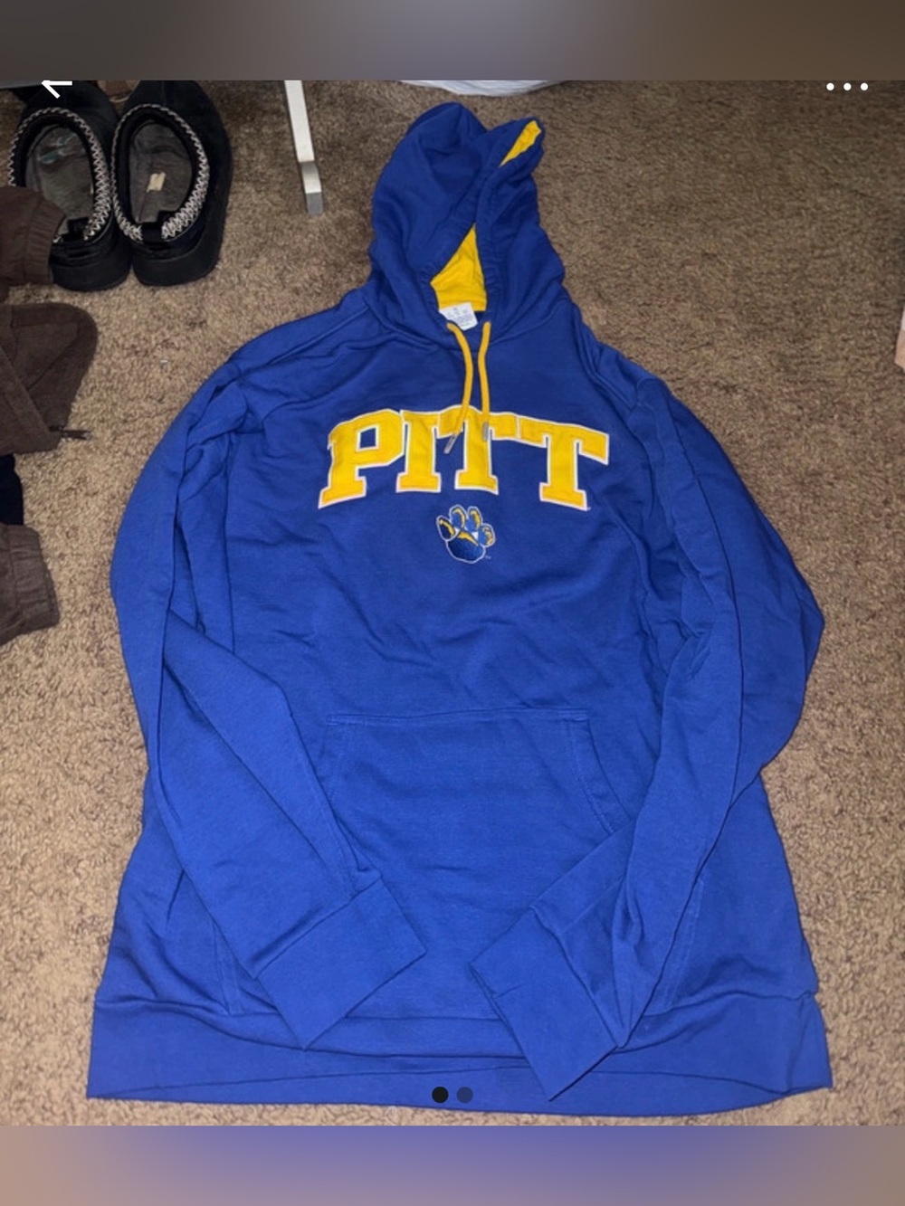 Champion Blue and Yellow PITT Hoodie - Picture 1 of 2